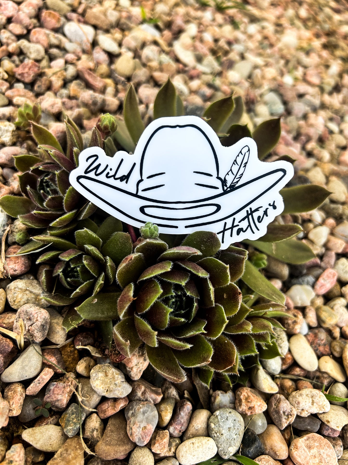 Signed & Stamped Cowboy Sticka Killa