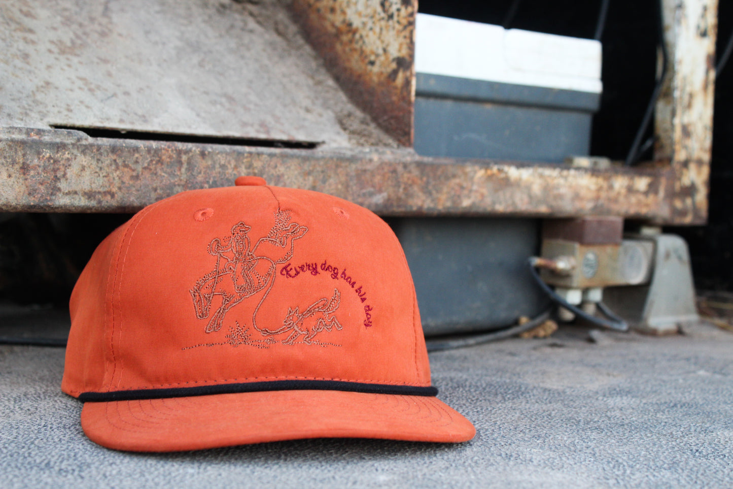 Every Dog Has His Day