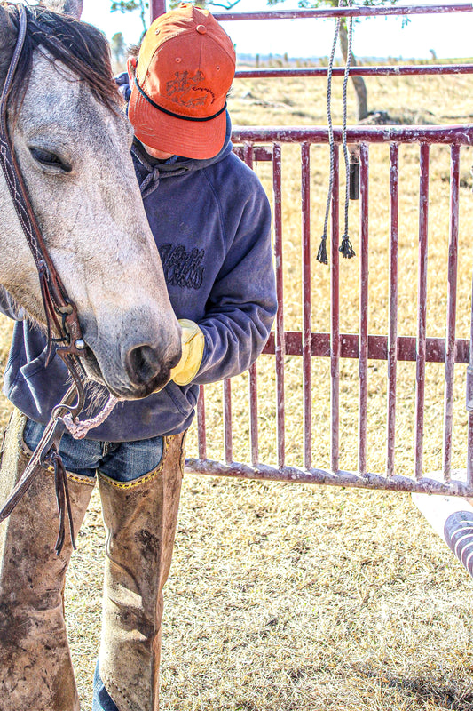 Every Dog Has His Day