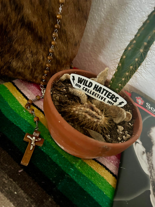 Wild & Reckless Sticka Killa