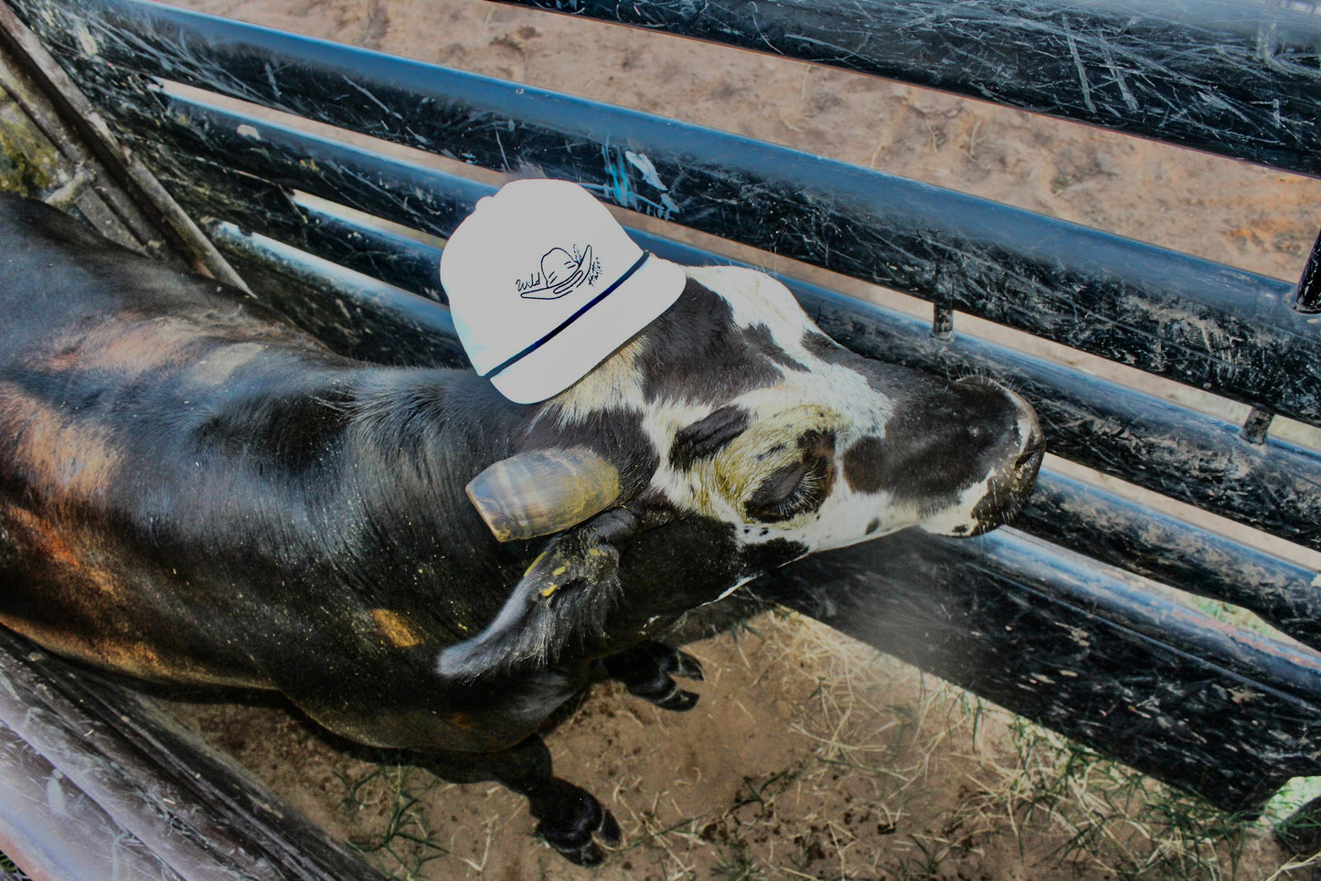 Signed & Stamped Cowboy "White"